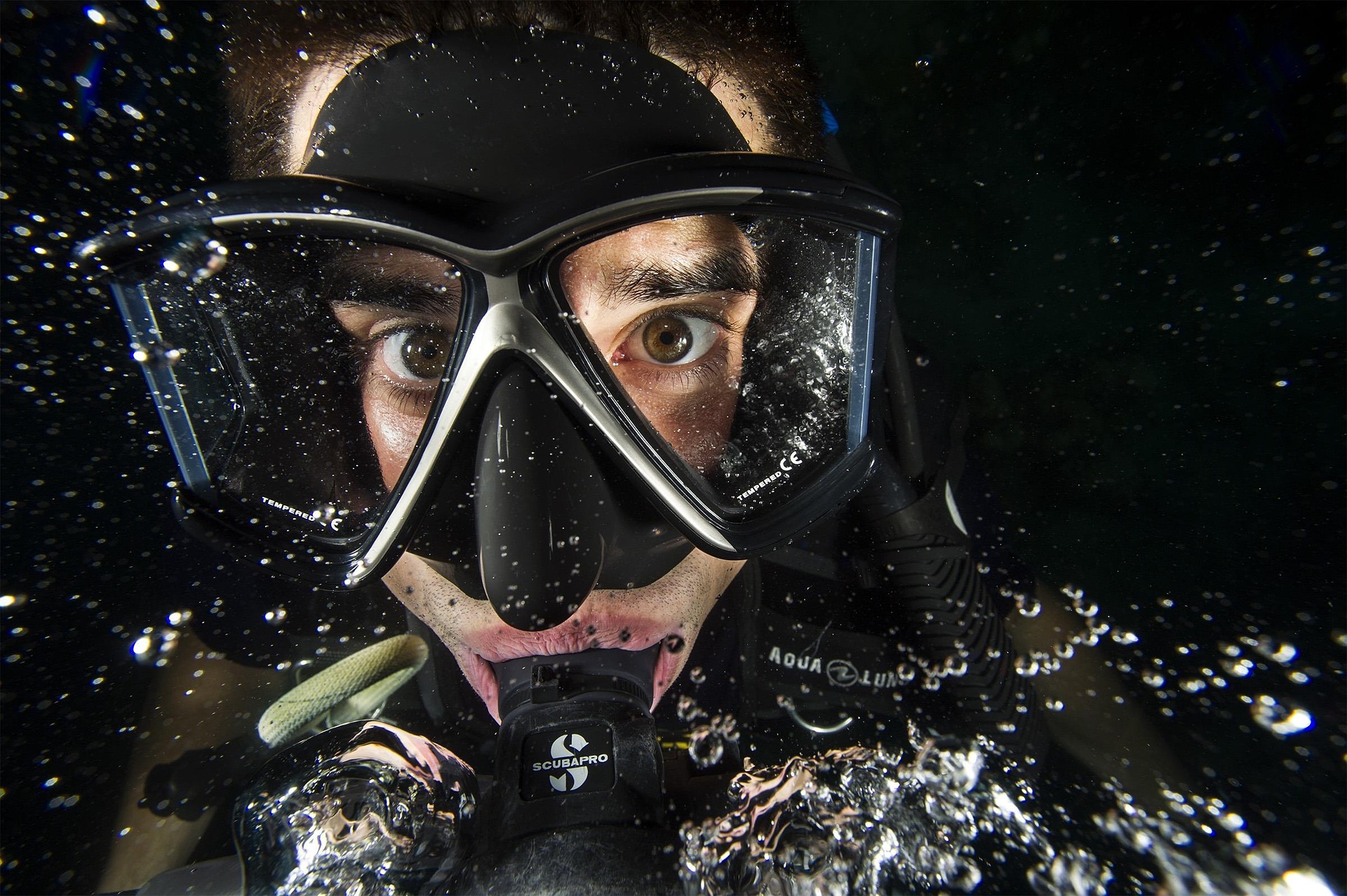 Courses 12019 diver 113077 1920