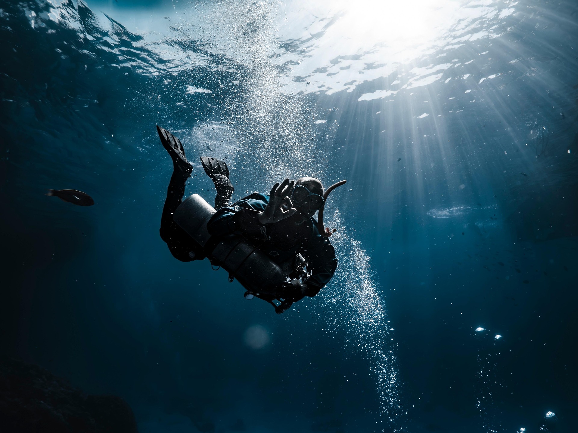 franziska stier diver 9328625 1920